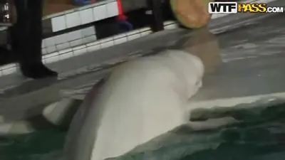 Yep would be the answer to this